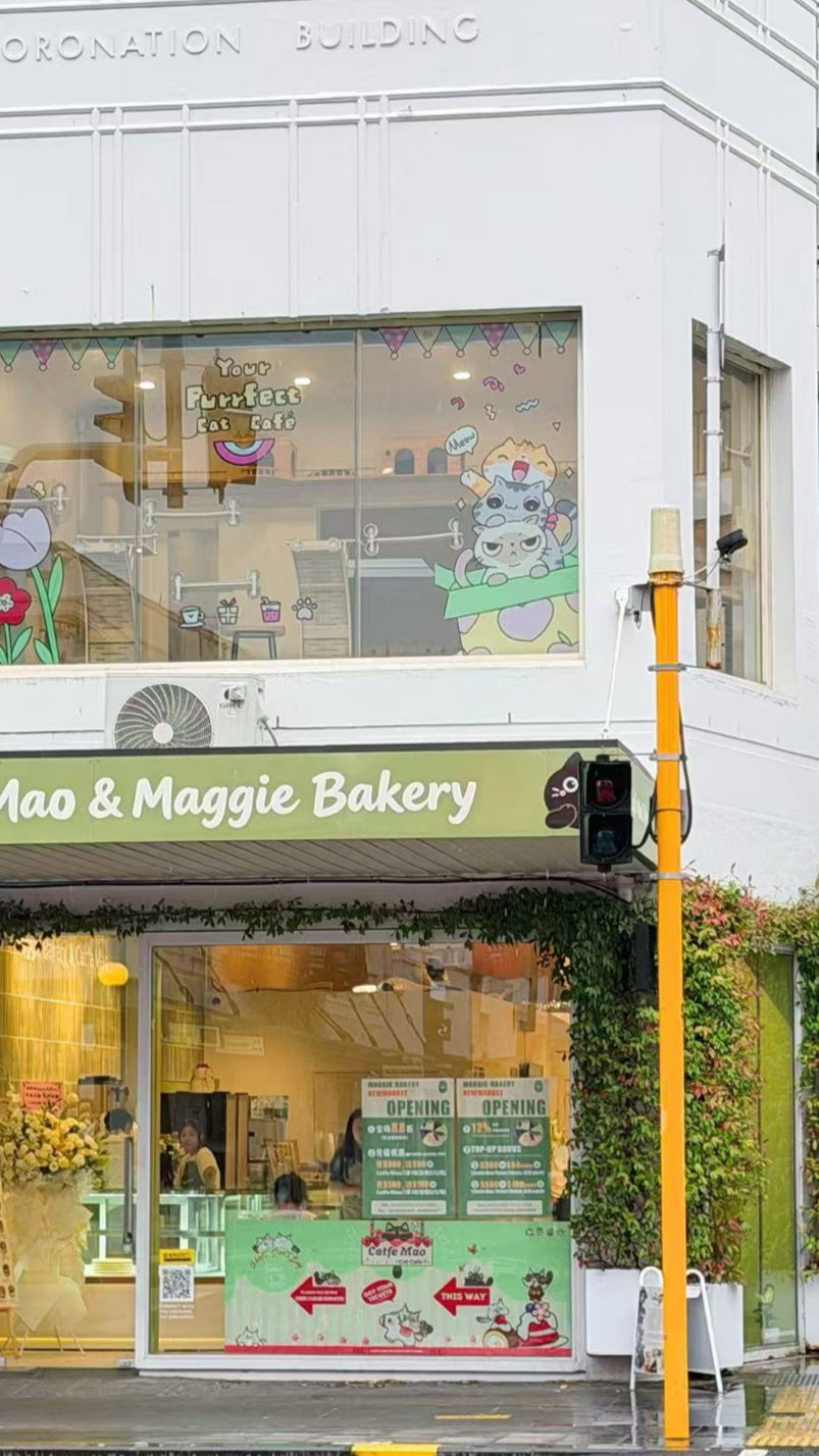 Catfé Māo and Maggie Bakery at 240 Broadway, Newmarket