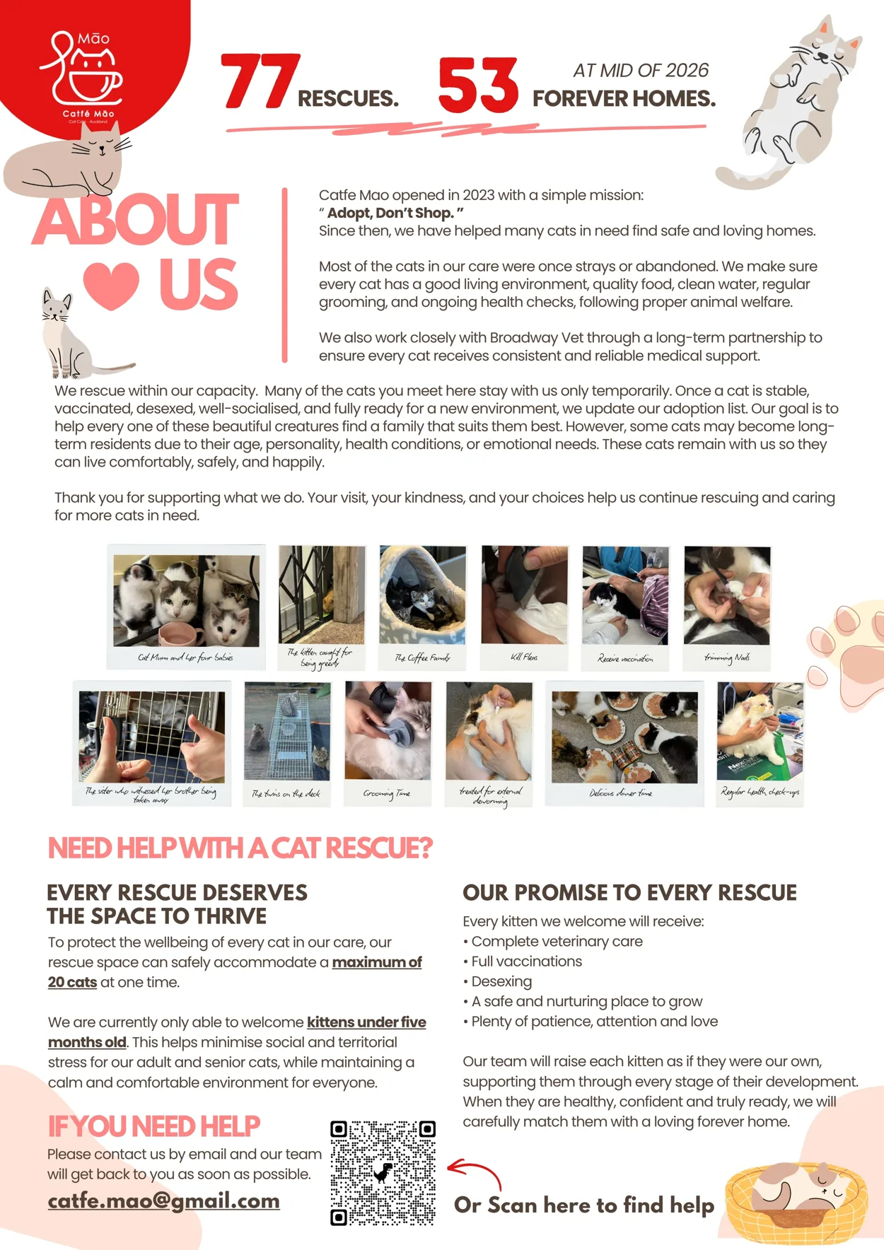Original Catfé Māo 2026 rescue impact poster: 77 rescues and 53 forever homes